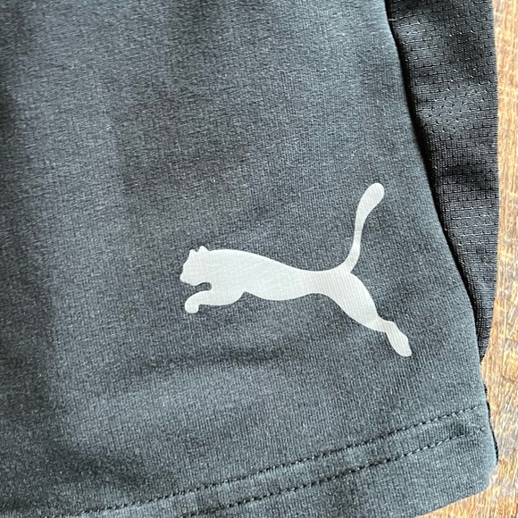 Men’s Puma Shorts - Picture 2 of 4